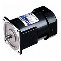 AC Geared Motor